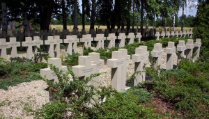 Cmentarz żołnierzy z Grupy "Kampinos"/ Źródło: http://commons.wikimedia.org/wiki/File:Ak_grupa_kampinos_krzyze02.jpg?uselang=pl