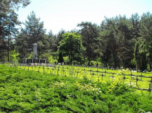 Cmentarz partyzancki w Osuchach/ Źródło:  http://commons.wikimedia.org/wiki/File:Osuchy_-_Cemetery_-_20100604.jpg?uselang=pl