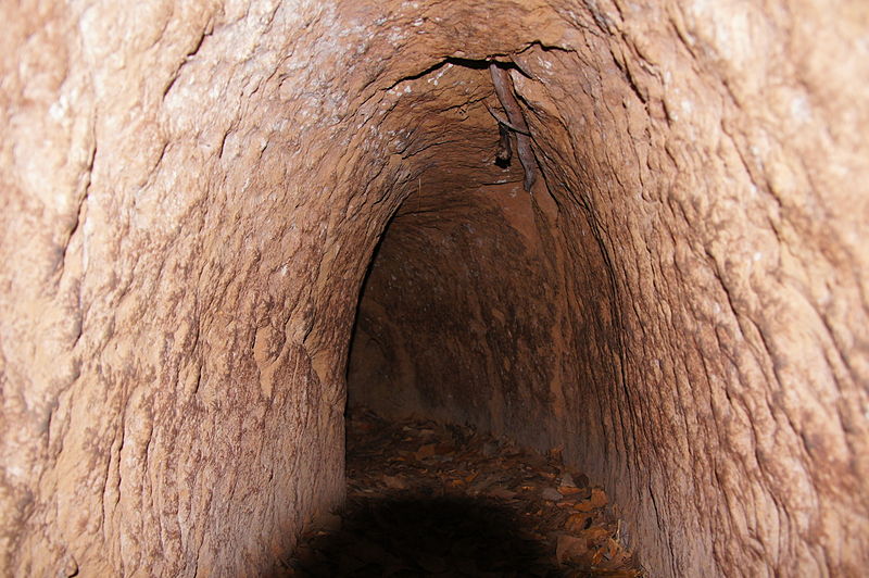 Walczyć można i pod ziemią…Tunele Cu Chi podczas wojny w Wietnamie