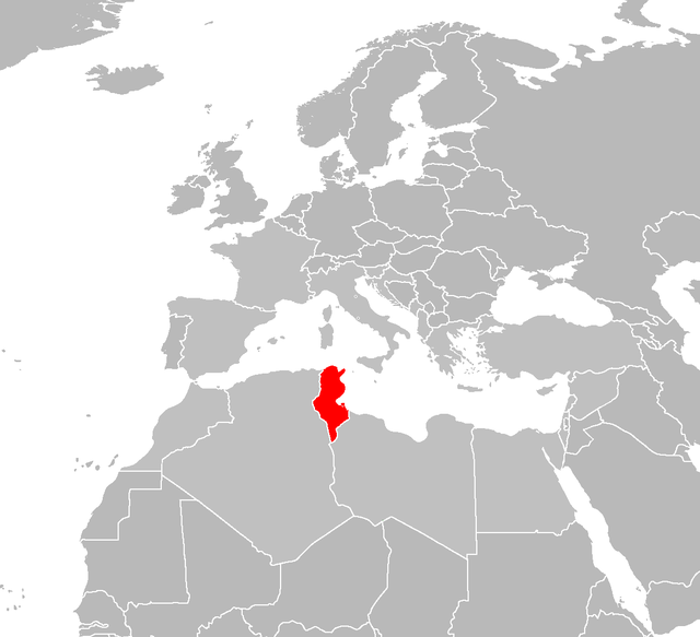 Położenie Tunezji. / wikimediacommons