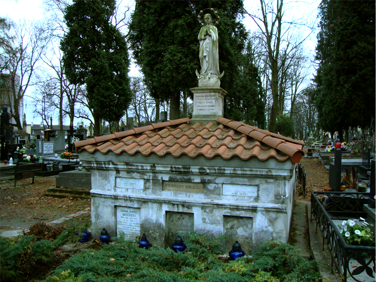 Rodzinny grób Mokrskich na cmentarzu w Lublinie przy ul. Lipowej / Fot. R. Surdacki
