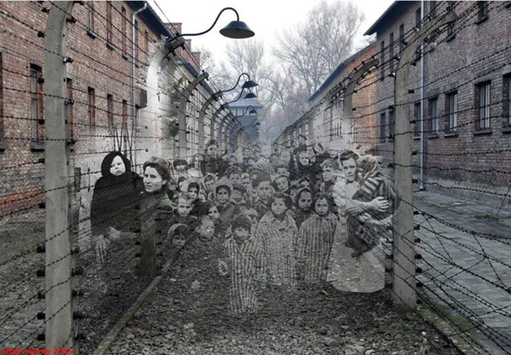 Dzieci w wyzwolonym w 1945 r. obozie Auschwitz-Birkenau.  Na podstawie częściowo zachowanych dokumentów obozowych, oraz danych szacunkowych ustalono, że wśród co najmniej 1,3 mln osób deportowanych do obozu Auschwitz-Birkenau było około 232 tys. dzieci i młodocianych w wieku poniżej18 lat. Liczba ta obejmuje około 216 tys. Żydów, 11 tys. Cyganów, co najmniej 3 tys. Polaków, ponad 1 tys. Białorusinów, Rosjan, Ukraińców i innych.  Większość z nich przywieziona była do Auschwitz wraz z rodzinami w ramach różnych akcji skierowanych przeciwko całym grupom narodowościowym lub społecznym. Z tej liczby zarejestrowano w obozie nieco ponad 23,5 tys. dzieci i młodocianych (na ogółem 400 tys. zarejestrowanych).