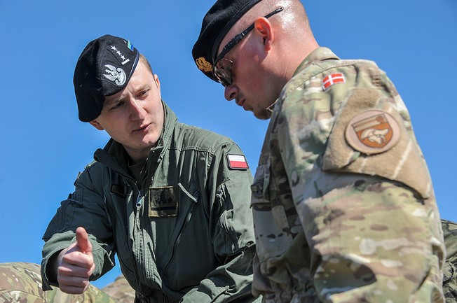Polska i Dania / fot. 7th Army Joint Multinational Training Command (Flickr).