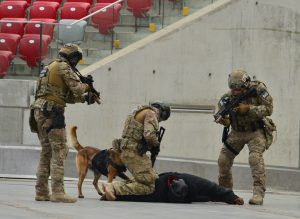 Żołnierze Żandarmerii Wojskowej podczas ćwiczeń antyterrorystycznych na stadionie narodowym w ramach przygotowań do szczytu NATO / http://zw.wp.mil.pl/