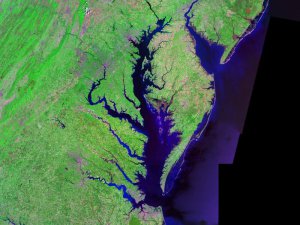 Zatoka Chesapeake widziana z kosmosu. / Wikimedia Commons (domena publiczna).